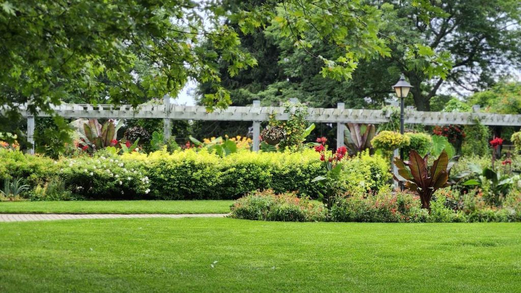 Evoterra - entretien jardin