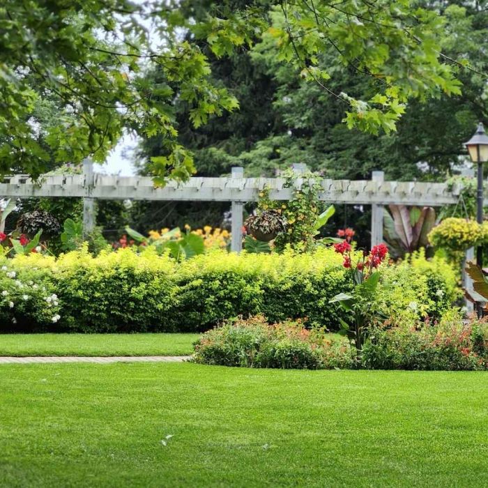 Evoterra - entretien jardin