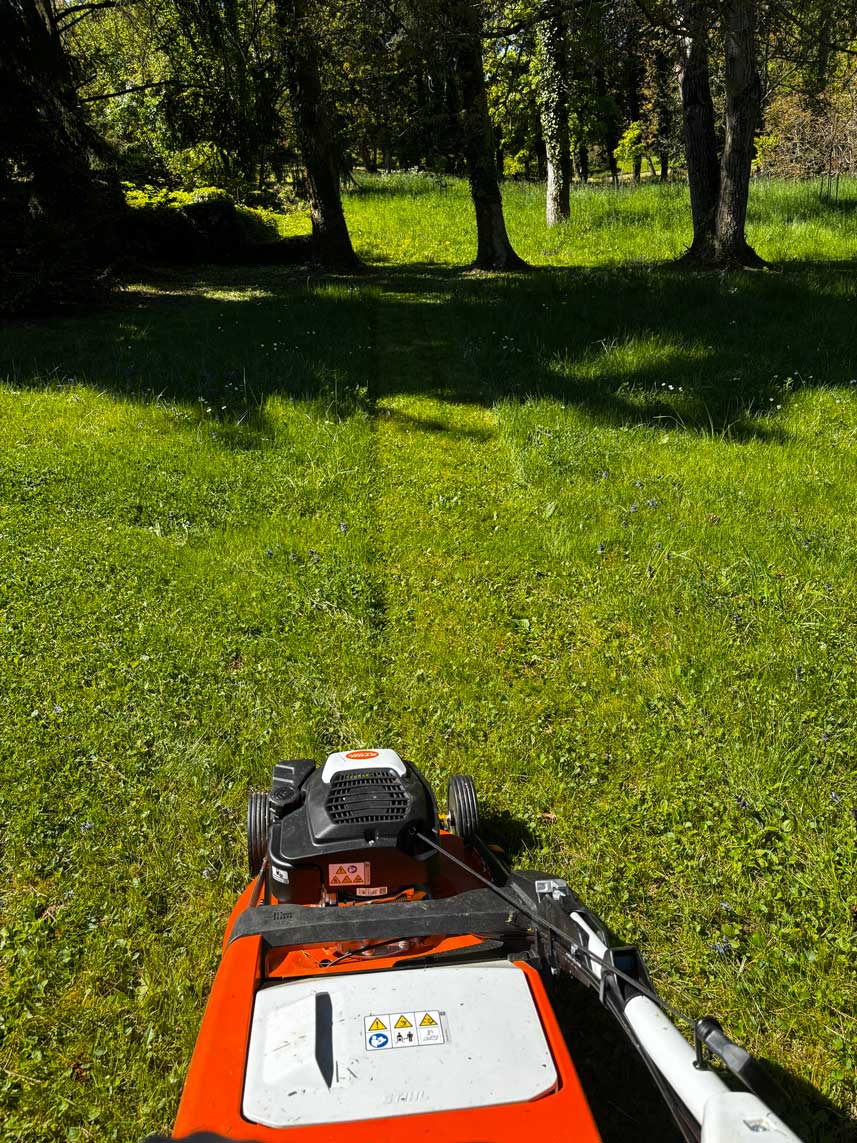 Tondeuse gazon